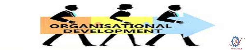 HR and Organizational Development